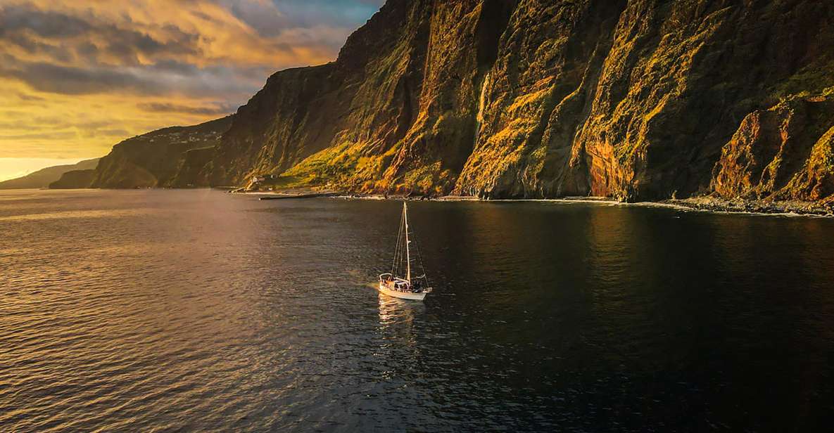 Funchal: Dolphin and Whale Watching Sunset Sailing Tour - Wildlife Searching: How the Dolphin and Whale Hunt Actually Feels