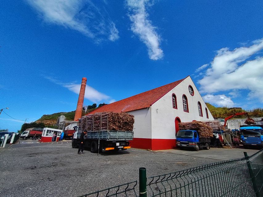 Funchal: East Madeira Island Guided Tour & Laurissilva Walk - Ponta do São Lourenço: the east’s dramatic closing photo stop