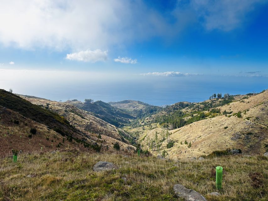 Funchal: East Madeira Island Guided Tour & Laurissilva Walk - Guide style and group energy: why this tour often feels easy