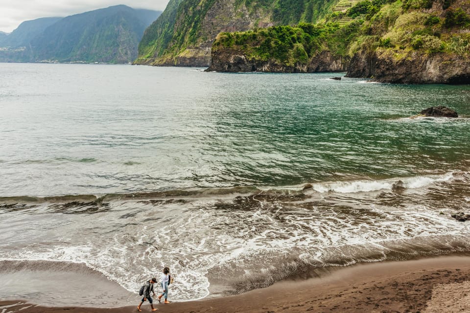 Funchal: Enchanted Terraces, Porto do Moniz & Fanal 4WD Tour - Fanal Forest and the Laurisilva Walk: When the Scenery Gets Quiet