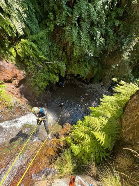 Funchal: Explore Canyoning Level 1 Rochão - The Ecological Park Setting: Waterfalls You Can Hear Before You See Them