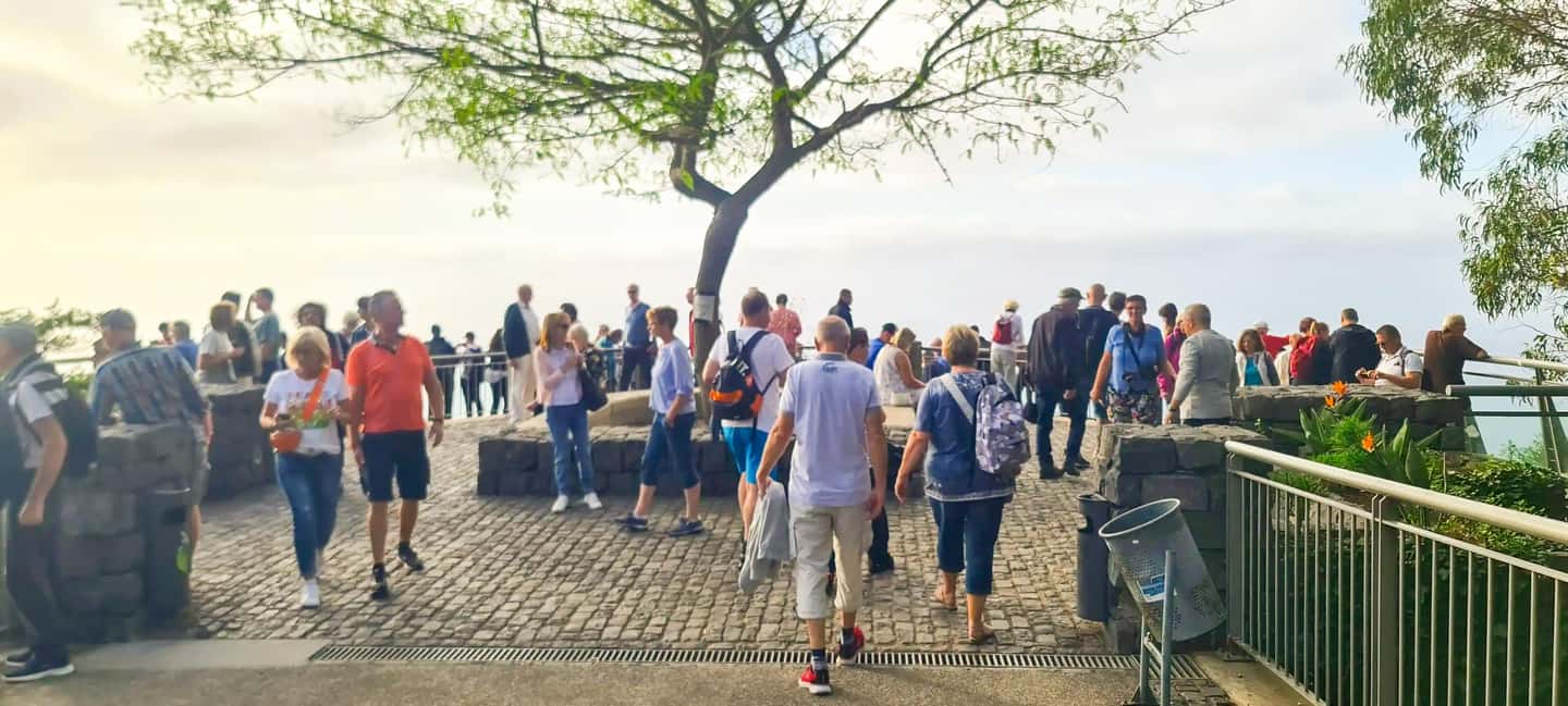Funchal: Family Madeira Island Tour - Key Things You’ll Love About This Funchal Family Tour