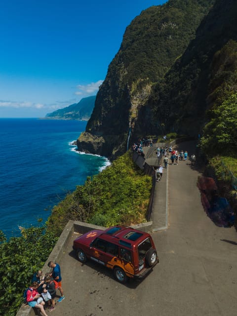 Funchal: Full-day Off-road Tour in West Madeira with Pickup - Fanal Misty Forest: ancient laurel trees and a slower kind of beauty