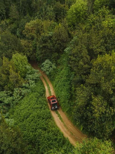 Funchal: Full-day Off-road Tour in West Madeira with Pickup - Guides and safety on off-road tracks (André, Rafael, Francisco)