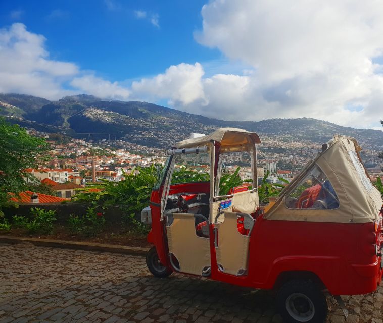 Funchal: Guided City Tuk-Tuk Tour - What the guides are really like (and what to ask)