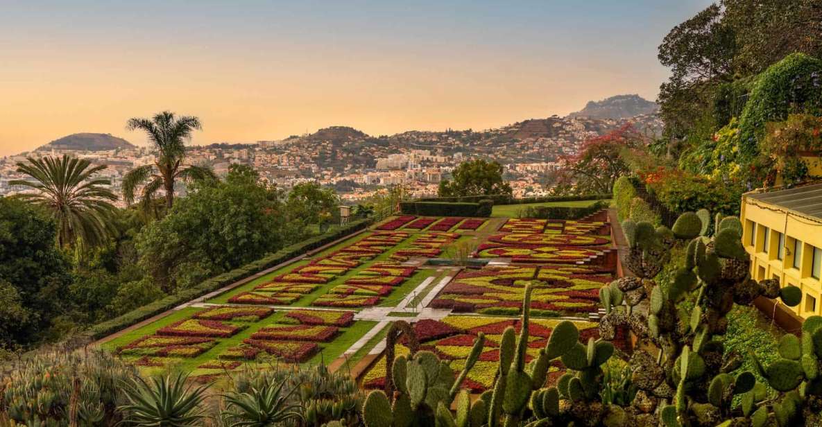 Funchal: Guided Old Town Tuk Tuk Tour and Botanical Gardens - Key things to know before you go