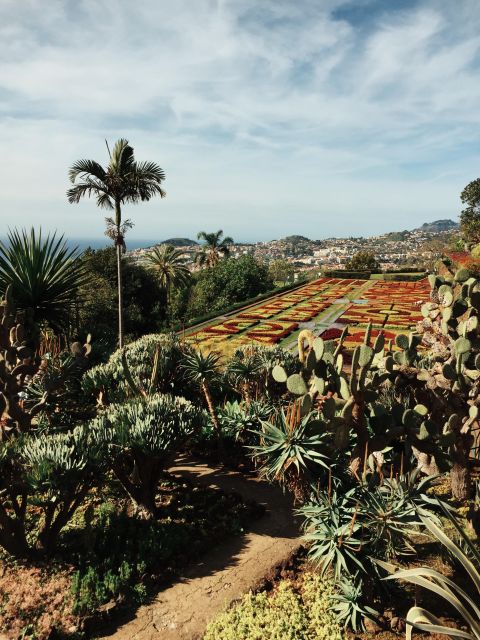 Funchal: Guided Old Town Tuk Tuk Tour and Botanical Gardens - Rua Ferrão Ornelas and the Sé Catedral area