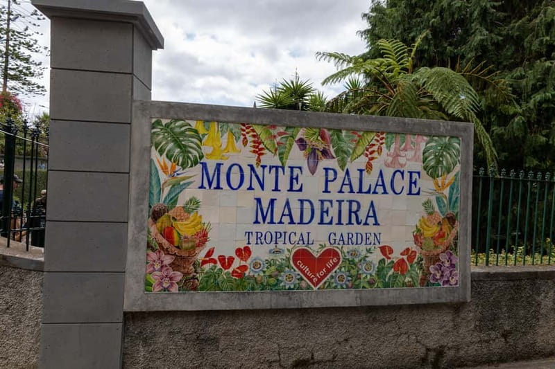 Funchal: Guided Tuk Tuk Tour to Toboggan Rides & Old Town - Marmeleiros Viewpoint Stop: A Quick Photo Break That Pays Off