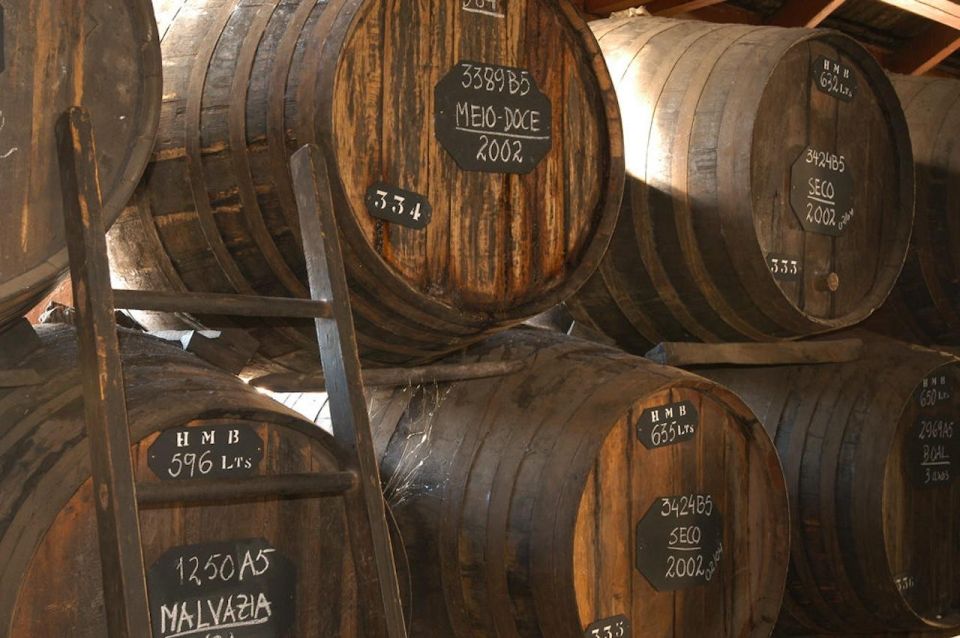 Funchal: H.M. Borges Winery Guided Tour with Wine Tasting - A Short Tour With a Big Madeira Personality