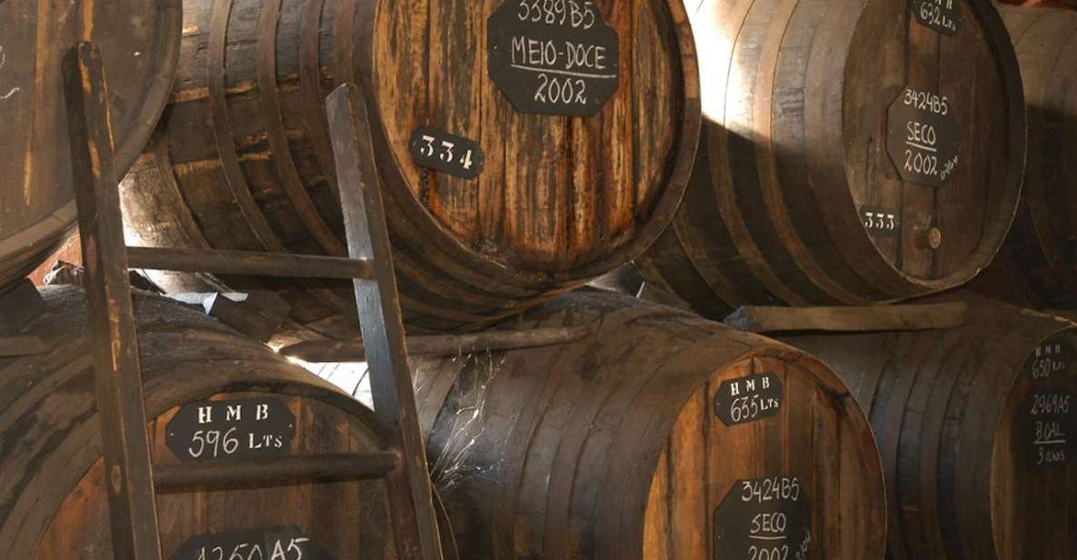 Funchal: H.M. Borges Winery Guided Tour with Wine Tasting - The Winery Walk: What You See Before You Sip