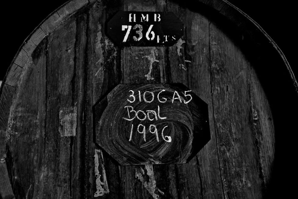 Funchal: H.M. Borges Winery Guided Tour with Wine Tasting - The Tasting Room: Max Römer Art + Included Snacks