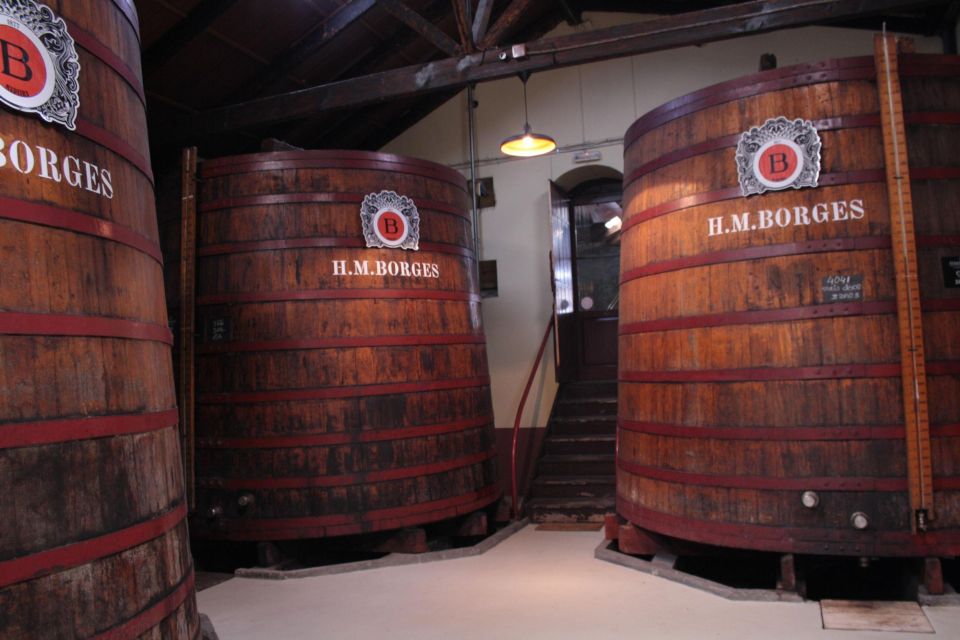 Funchal: H.M. Borges Winery Guided Tour with Wine Tasting - Service, Staff, and the Sales Vibe