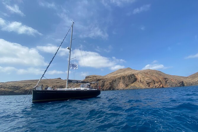 Funchal: Half and Full Day Private Sailboat Tour - Dolphin and Whale Watching: What You Can Actually Expect
