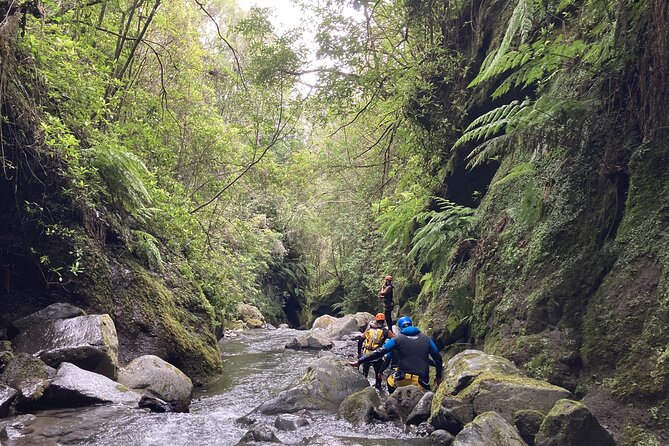 Funchal: Half-day Beginners Canyoning - Your morning logistics in Caniço: where it starts and why the time matters