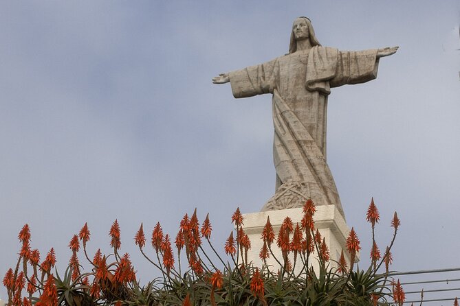 Funchal highlights 5h Private Tour in Madeira - A Tight 5-Hour Circuit That Actually Feels Like a Real Day