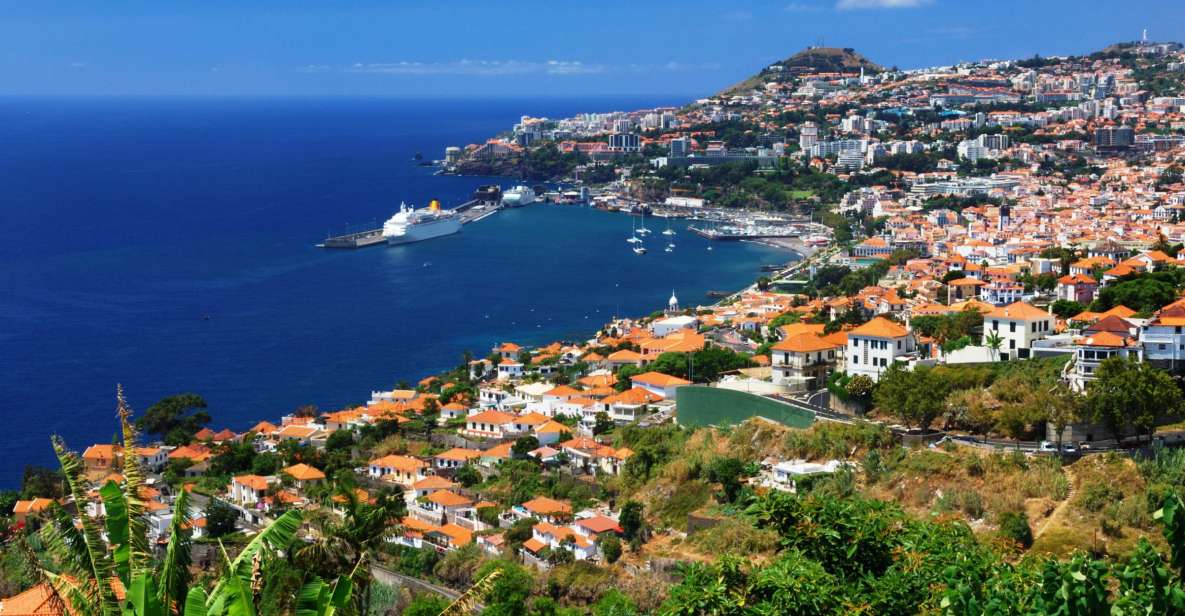 Funchal: Hop-On Hop-Off Bus Tour - Getting your bearings fast at Avenida do Mar
