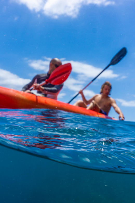Funchal: KAYAK Rental or Guided tour with snorkeling - Price and value: why $29 feels fair here