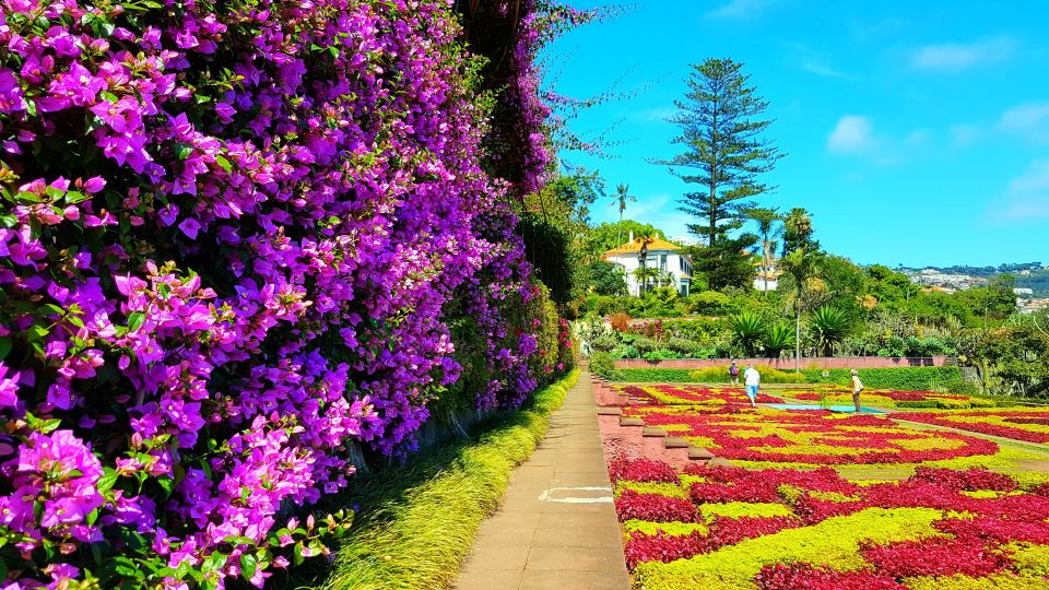 Funchal: Madeira Botanical Garden Private Tuk-Tuk Tour - Key things I’d plan around