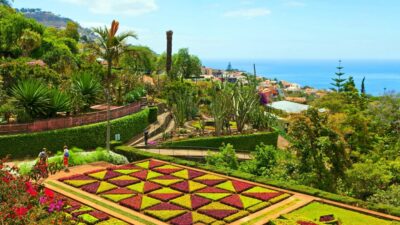 Funchal: Madeira Botanical Garden Private Tuk-Tuk Tour - Inside Madeira Botanical Garden: your hour across 80,000 m²