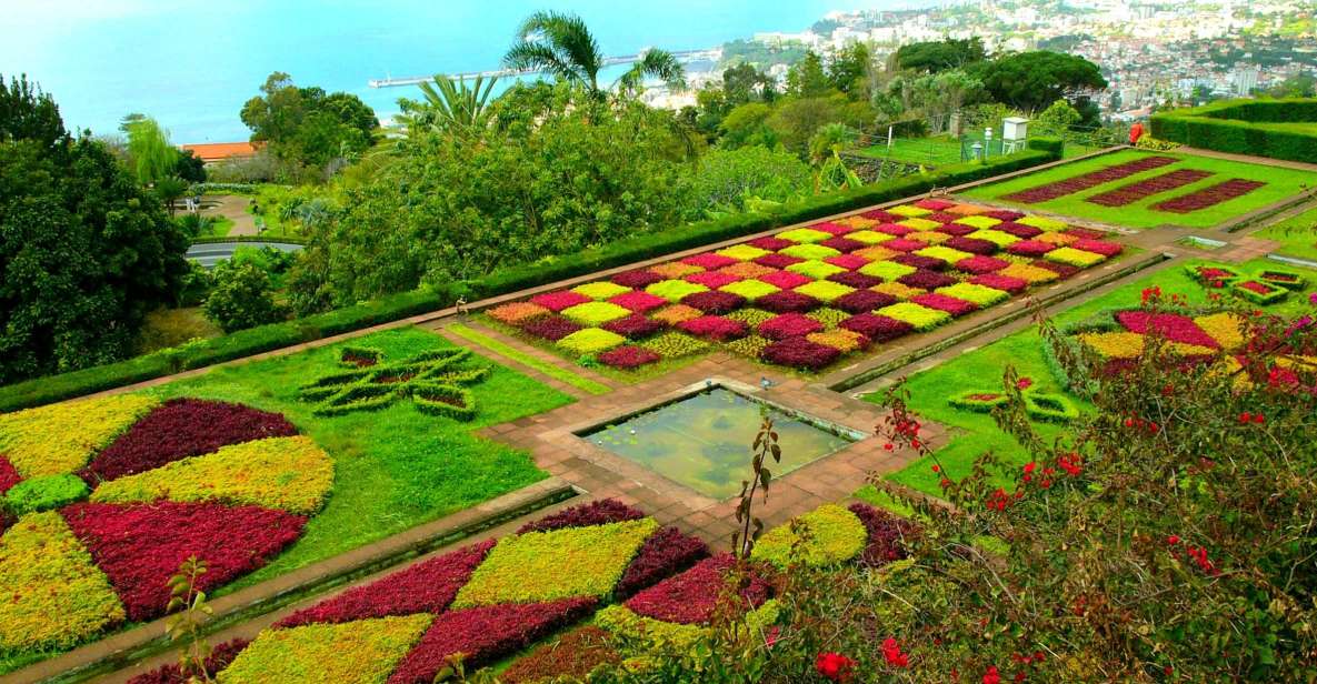 Funchal: Madeira Botanical Garden Private Tuk-Tuk Tour - Returning to Funchal: tuk-tuk drop-off without the hassle