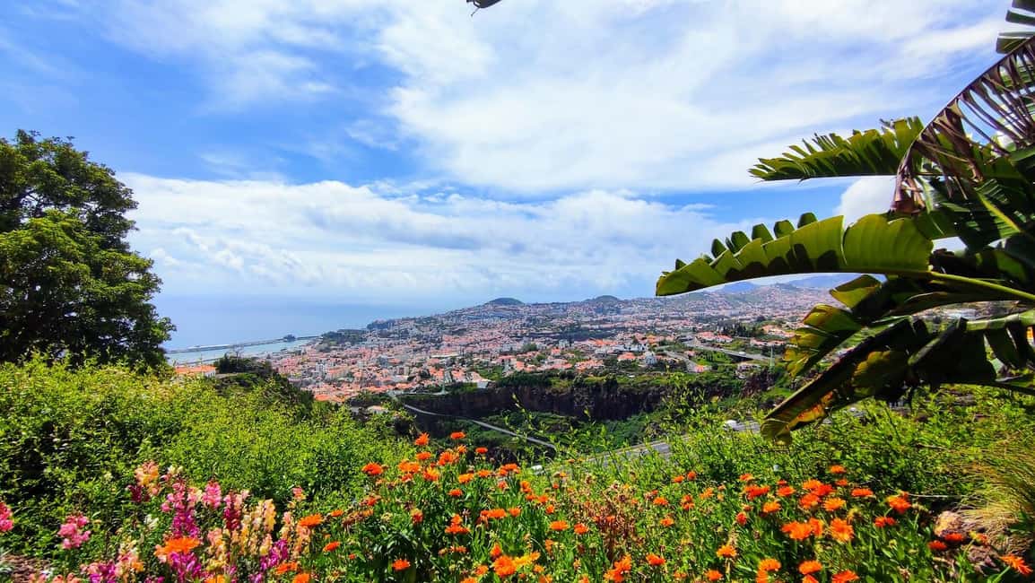 Funchal: Madeira Botanical Garden Private Tuk-Tuk Tour - Price and value: is $40 per person a fair deal?