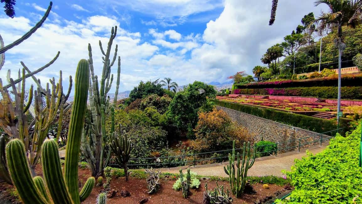 Funchal: Madeira Botanical Garden Private Tuk-Tuk Tour - Practical tips so your hour goes smoothly