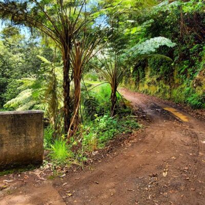 Funchal: Madeira Island 4x4 Private Customizable Tour - From Funchal pickup to West Madeira: how the 7.5 hours flow