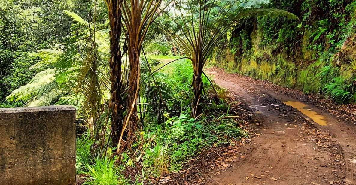 Funchal: Madeira Island 4x4 Private Customizable Tour - Lunch and the taste of Madeira: what’s included and what to budget