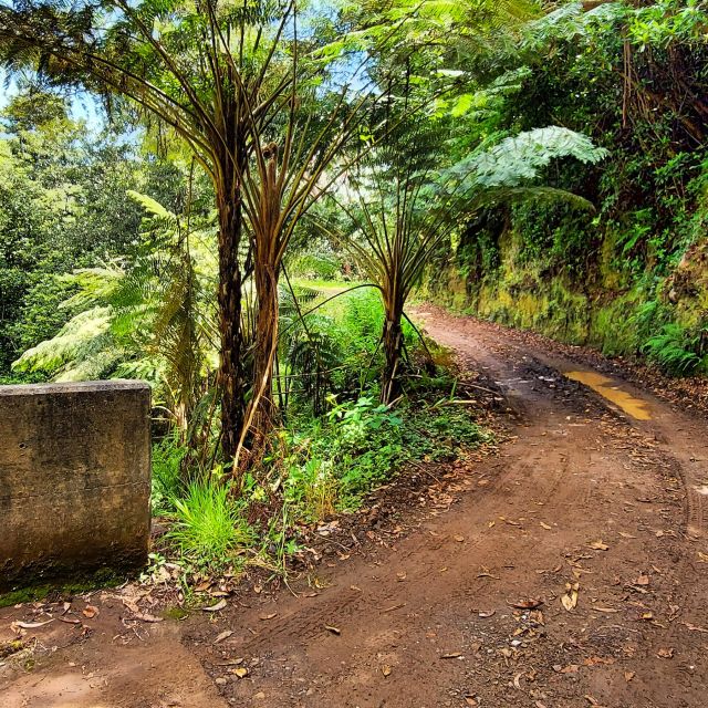 Funchal: Madeira Island 4x4 Private Customizable Tour - From Funchal pickup to West Madeira: how the 7.5 hours flow