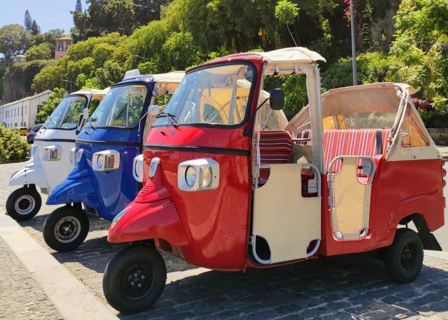 Funchal: Monte Toboggan and Old Town Tour by Tuk-Tuk - Timing tips: booking this when you have breathing room
