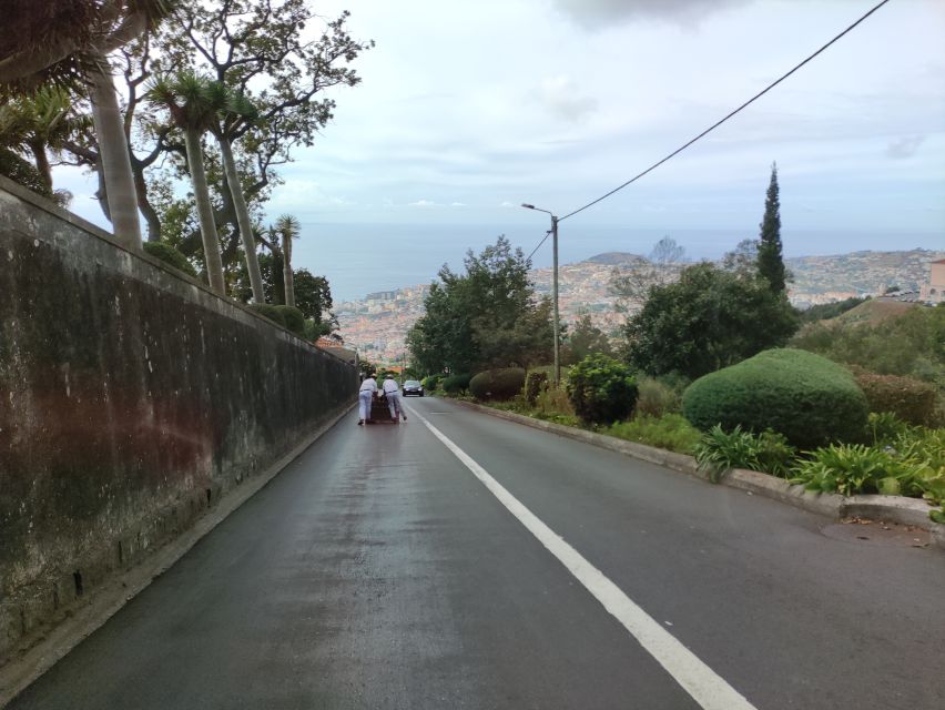 Funchal: Monte Toboggan and Old Town Tour by Tuk-Tuk - How the tuk-tuk ride sets the pace in Funchal