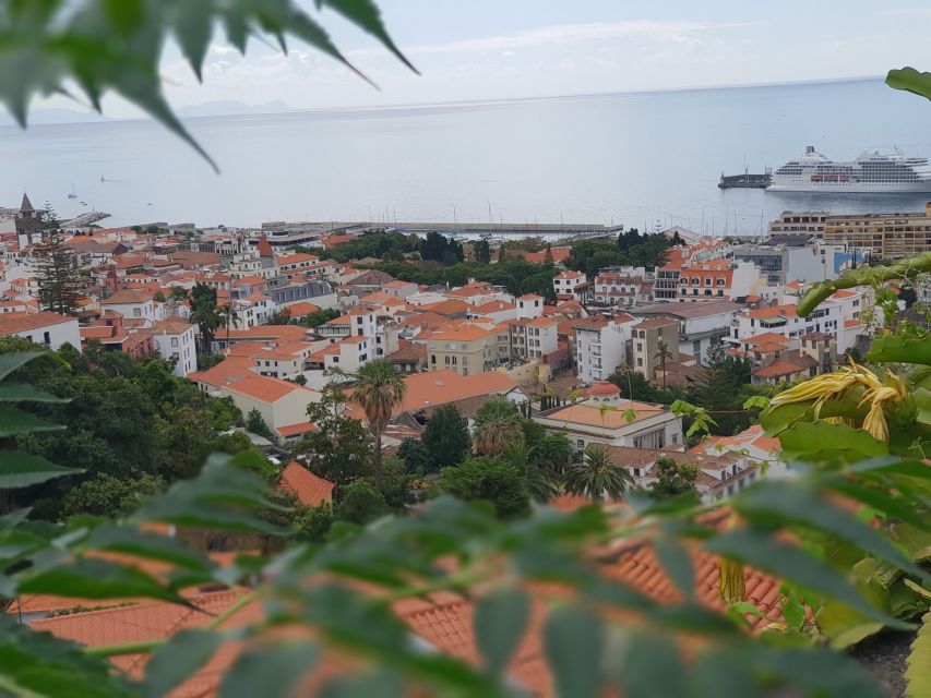 Funchal: Monte Toboggan and Old Town Tour by Tuk-Tuk - The basket-cart ride: what the 2-kilometer descent feels like