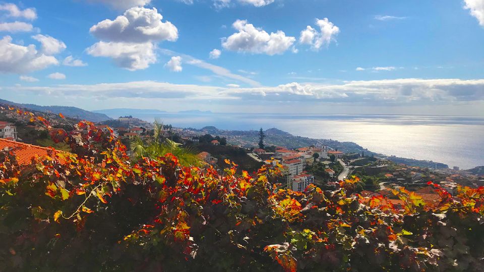 Funchal: Northern Levada Walking Tour - Northern Levada Basics: Cabo Girão to Campanário in About 2 Hours