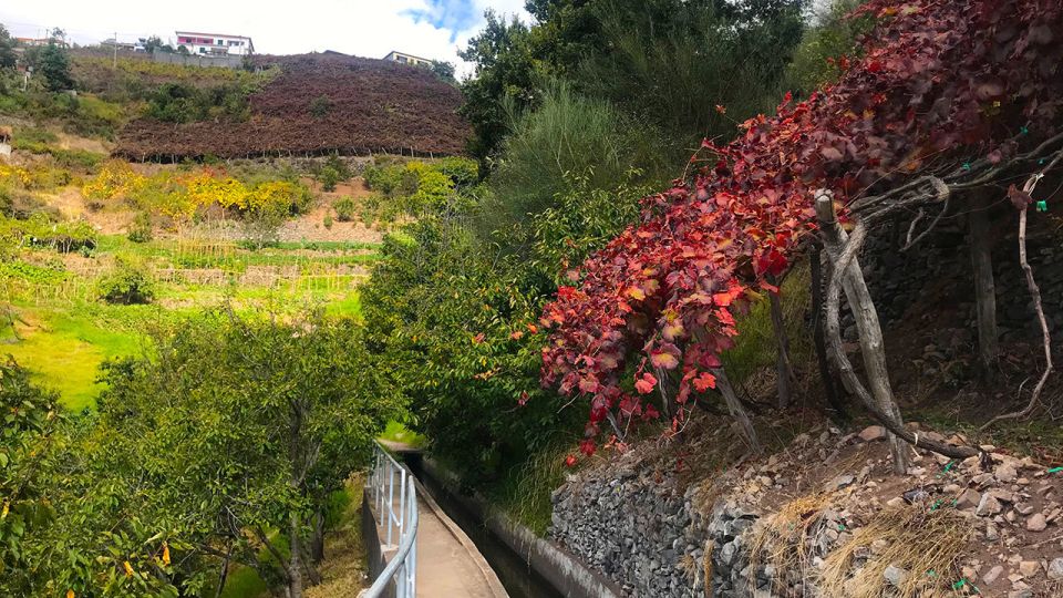 Funchal: Northern Levada Walking Tour - The Views Aren’t Random: Ocean and Mountains Along the Way