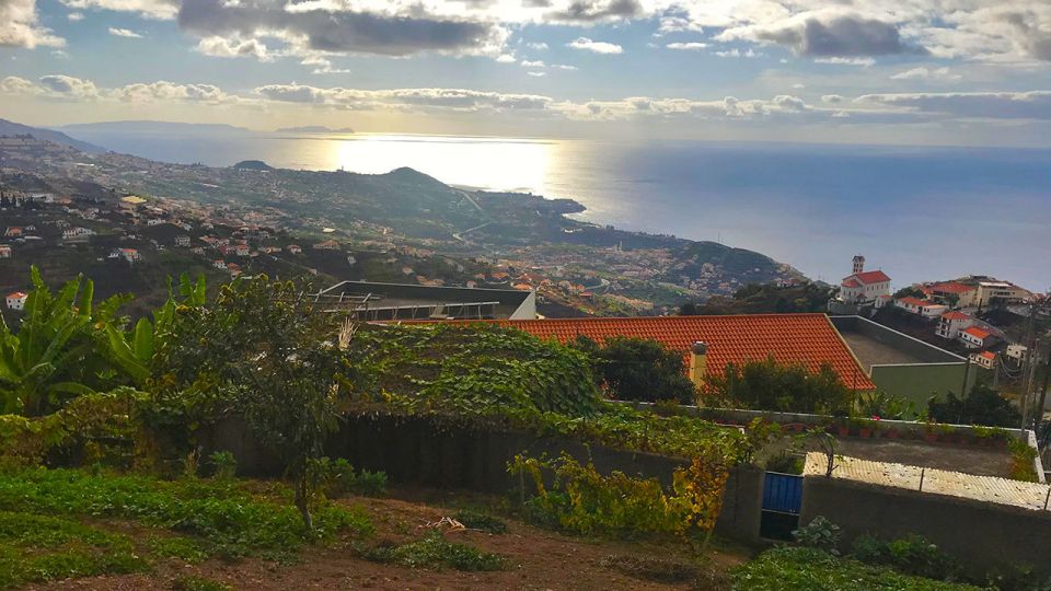 Funchal: Northern Levada Walking Tour - See How Madeira Is Worked: Plantations and Small Vineyards