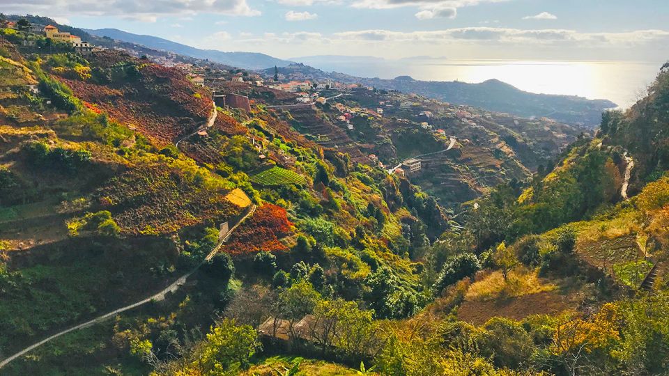 Funchal: Northern Levada Walking Tour - The Guide Factor: Fully Qualified Mountain Guidance
