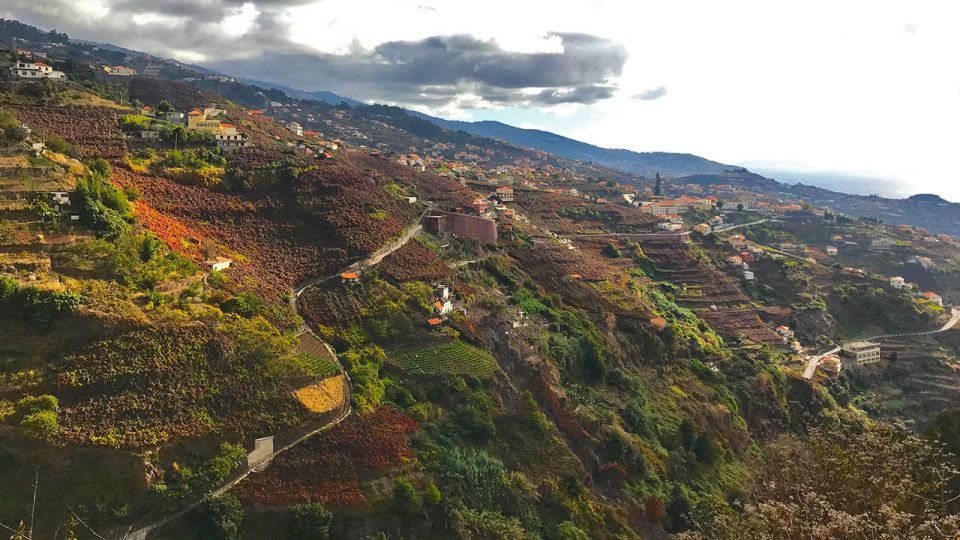Funchal: Northern Levada Walking Tour - Pickup and Start: How You’ll Get to the Trailhead