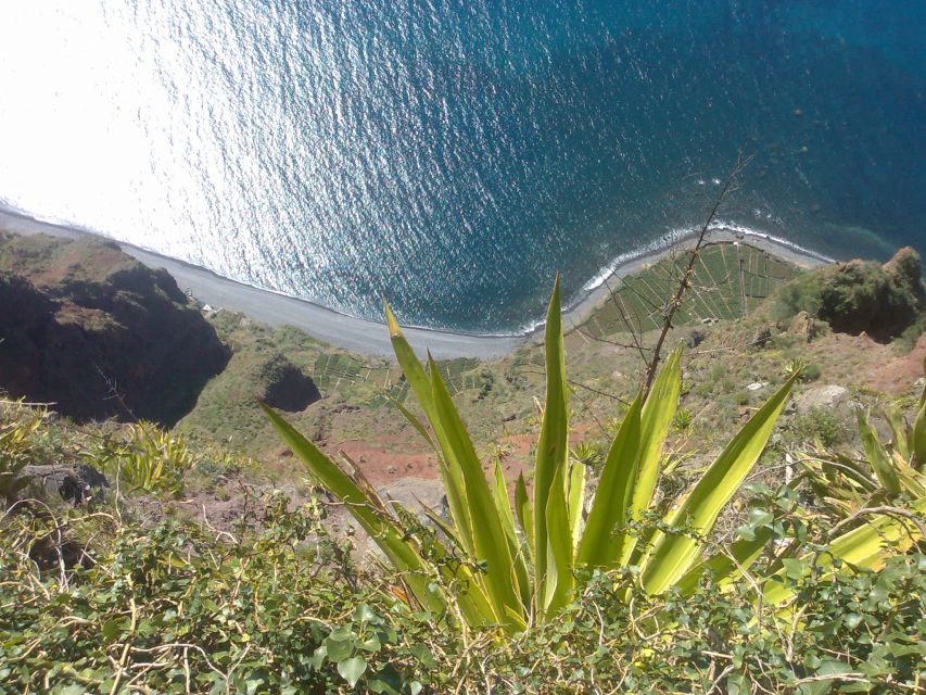 Funchal: Nuns Valley Half Day Tour - Value math: is $29 a good deal for Madeira’s best views?