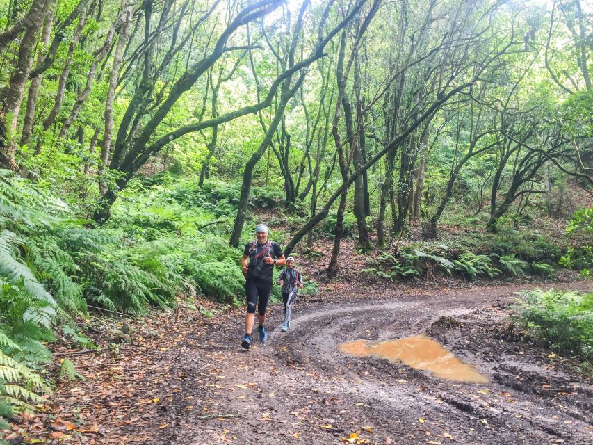 Funchal: Ocean to Mountain Running Tour - Key Highlights You’ll Feel More Than You’ll Read