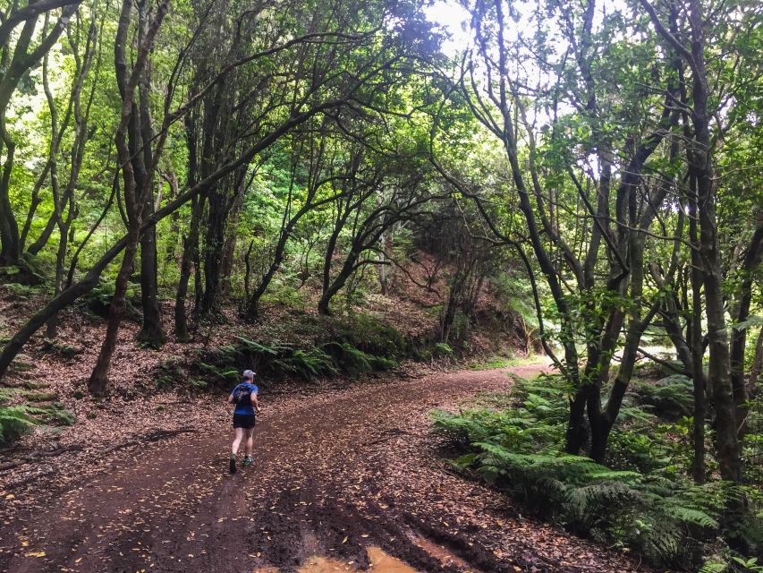 Funchal: Ocean to Mountain Running Tour - Finishing on a Shoreline Trail: When the Ocean Takes Over Again