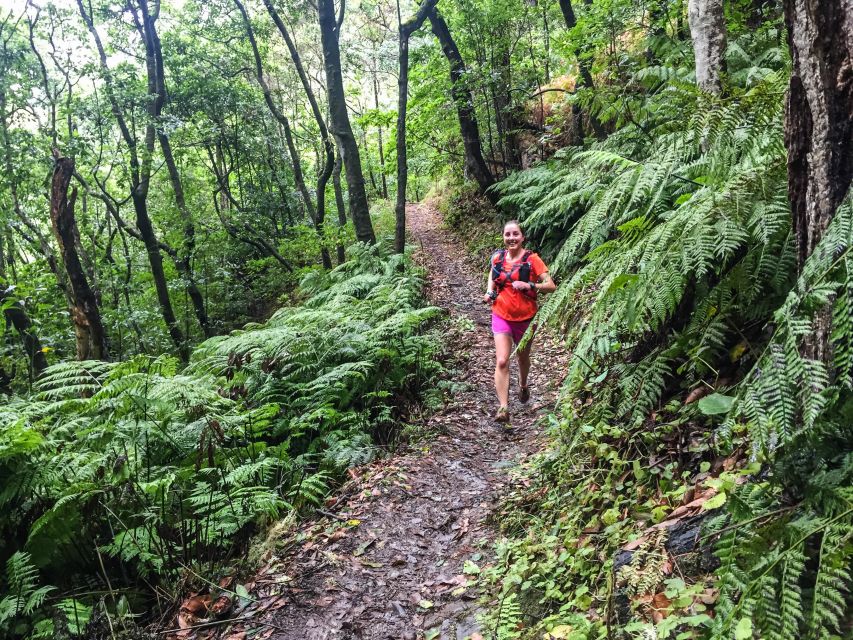 Funchal: Ocean to Mountain Running Tour - Guide Quality and Trail Safety: Why a Certified Mountain Running Leader Is Part of the Value
