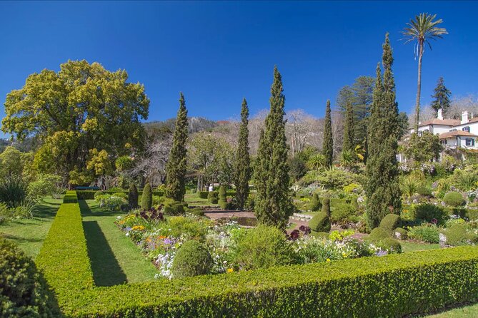 Funchal Old Town & Palheiro Gardens Private Tuk Tuk Tour - Should you book it? My practical recommendation