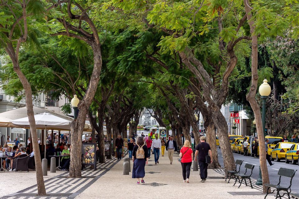 Funchal: Old Town Walking Tour - City Hall’s surprising interior stop (and why it’s worth pausing)