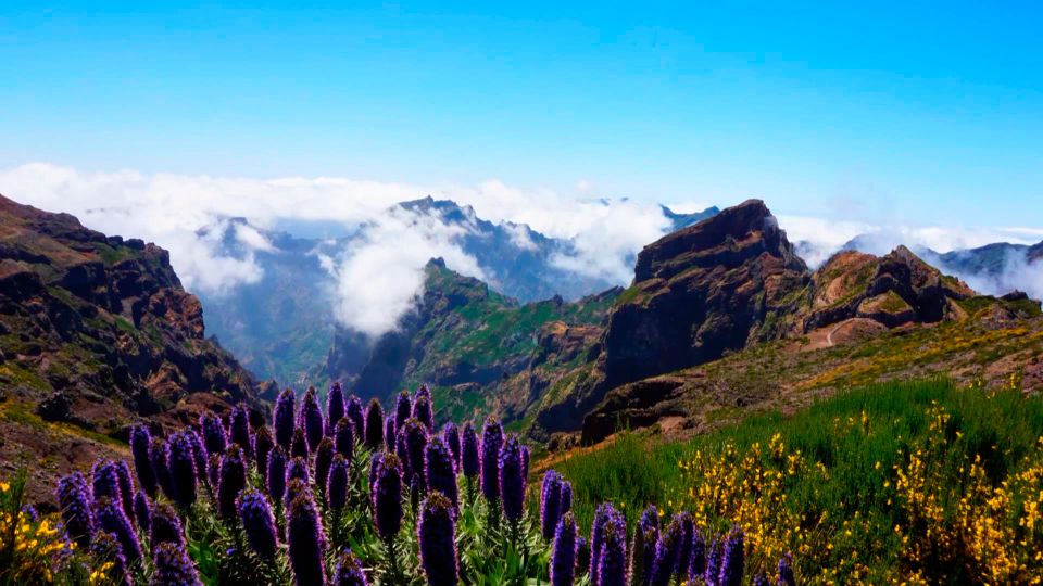 Funchal: Pico Arieiro, Cristo Rei and Dolphins Watching - Hidden Stops and the Drive That Makes It Feel Like Madeira