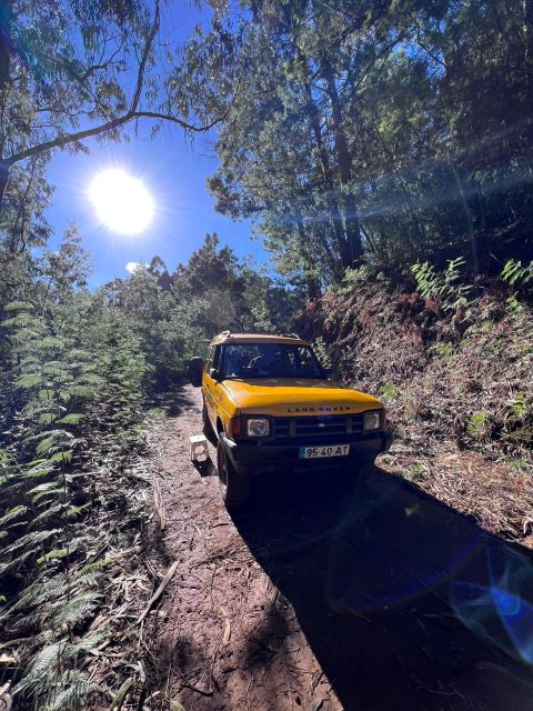 Funchal: Pico do Areeiro, Caniçal, Santana Jeep Safari Tour - Price and Value for an $82 Off-Road Day