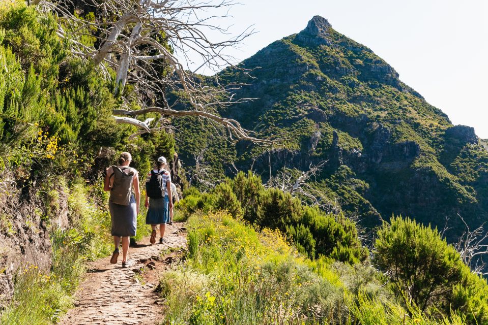 Funchal: Pico do Arieiro Sunrise Transfer Self-guided Hike - Self-guided route: you hike on your own, but you still get real instructions
