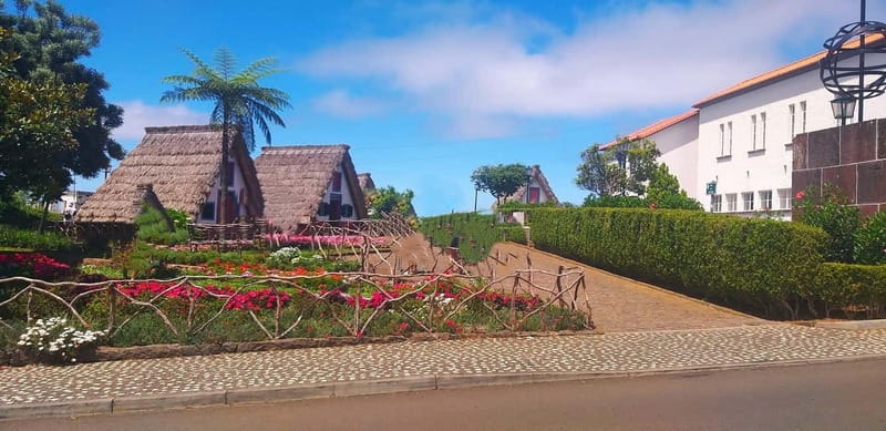 Funchal Private 4-Seater VIP Mercedes / 8-Seater Minibus - Mercedes comfort vs 8-seater minibus (and wheelchair access)