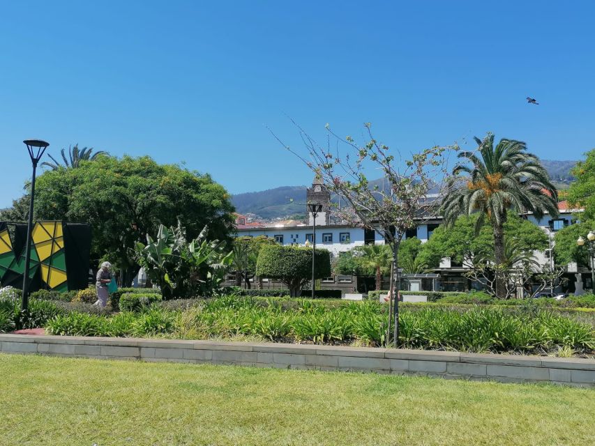 Funchal: Private Guided Tour of Historic Center by Tuk Tuk - The route in plain English: what you’ll do in the 1 hour