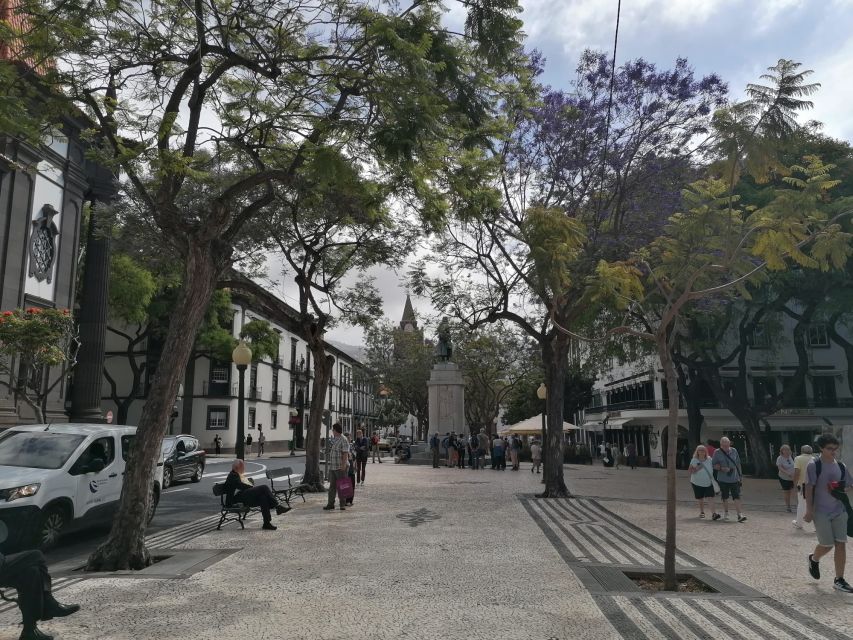 Funchal: Private Guided Tour of Historic Center by Tuk Tuk - Panoramic view time: connecting the city to the story