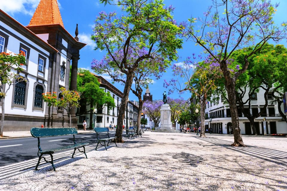 Funchal: Private Guided Tour of Historic Center by Tuk Tuk - Funchal Town Hall (City Hall): where civic power shows up